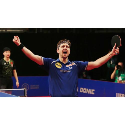 Ракетка для настольного тенниса  Butterfly Timo Boll Force FL (6110300002) - фото №6